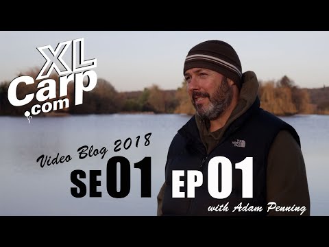 XL Carp Video