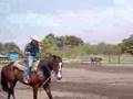 ウエスタン乗馬　2002年6月