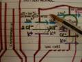 Loop Of Henle