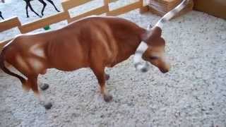 Download Breyer Barn Tour In Mp4 And 3gp Codedwap