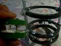 videos de ilizarov fijador externo perro video 4