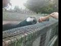 Le pazze ciotie di Kiara e Lulù... Le pazze ciotie di Kiara e Lulù...