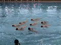 bvsc junior: csapat 07aqua kup