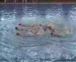 bvsc junior: csapat 07aqua kup