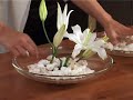 Composizioni con Lilium e Conchiglie