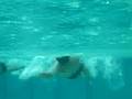 videos de UWGP3.MP4