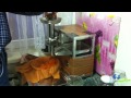 Norwalk Juicer