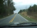 Crazed Driver