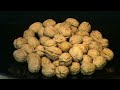 Video de Cocina - Crema de nueces con helado