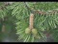 Quand la nature s\ Quand la nature s\