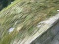 1993, Chased By Russian Skins, Vladivostok, 1997