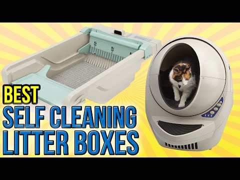 Self Cleaning Litter Box