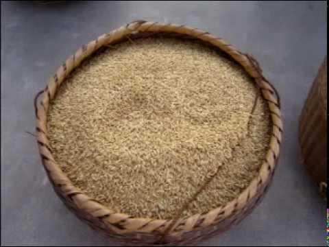 Belobi Meridjo de zaiko langa - langa et les casques-bleus / Elanga songa B Belobi Meridjo de zaiko langa - langa et les casques-bleus / Elanga songa B