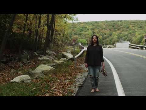 *life of lily* | Modern Visionaries