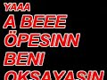 sedat and serkan gel bana