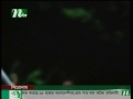 NTV News Feature on the European Band the Green Children
