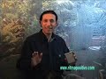 el secreto de TELEVISA victor giordani discos 605