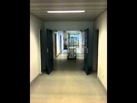 Omnimover -