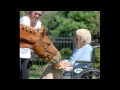 The Truth About HSUS #2