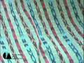 videos de REBOZOS