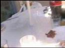 videos de la comida.