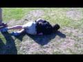 Video: Crotch As A Golf Tee Fail