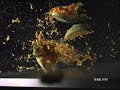 Cantaloupe Cantaloupe