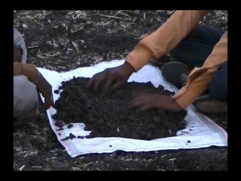 how to collect soil samples