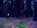 Khoiba 202 video