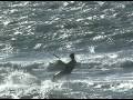 Venice, Florida Kite Boarding