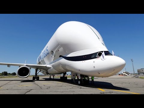 Neues Frachtflugzeug: Jungfernflug des Beluga XL