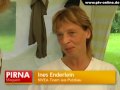 Bild 2 aus dem Beitrag