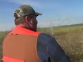 October Pheasant Hunting and Whitetail Deer