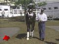 Borel Hoping for Unusual Double