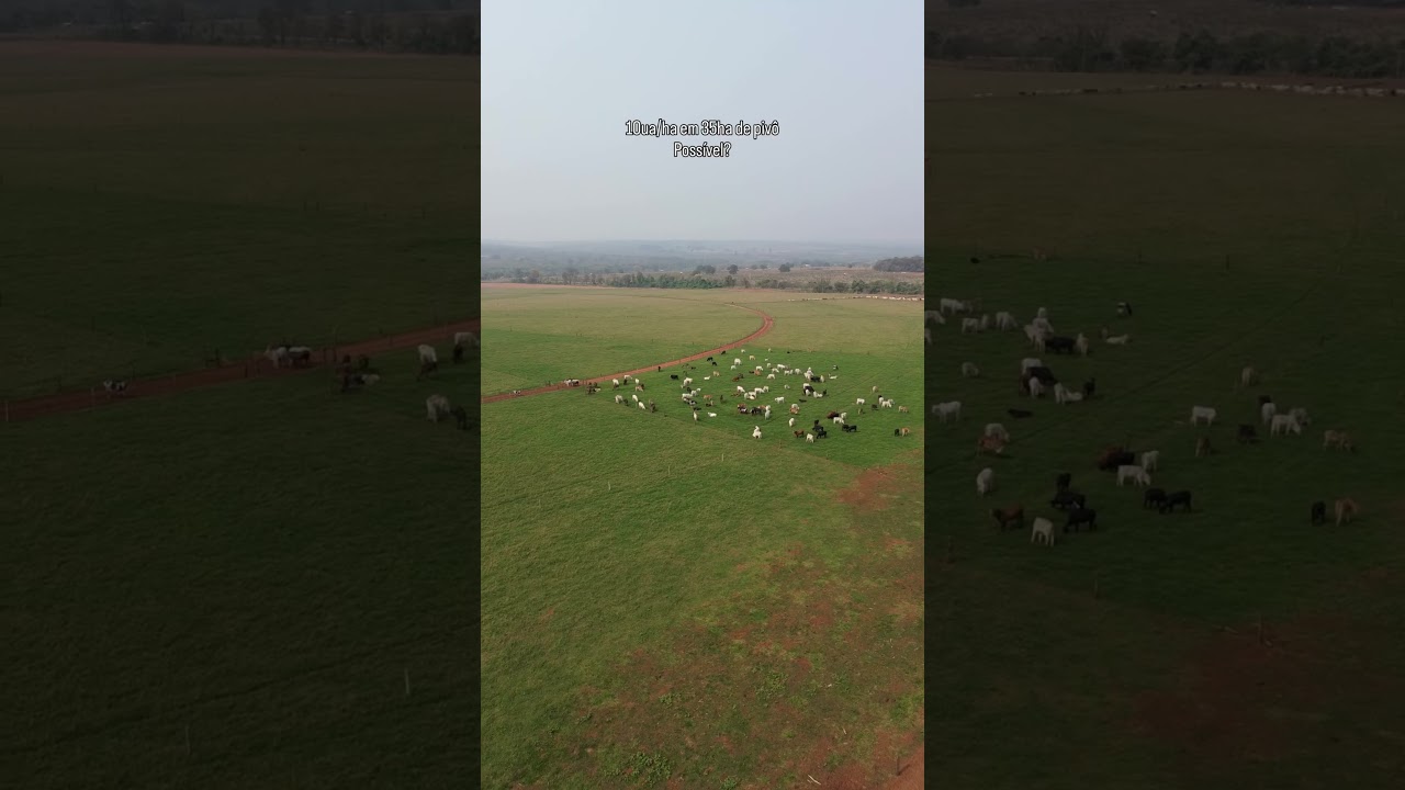 Será que é possível?