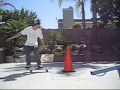 Nike SB Zoom Tre A.D. Review (+skating)