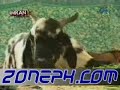 Pashto song