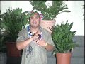 Vaniah Toloa - Talia Maia Ita Nei Vaniah Toloa - Talia Maia Ita Nei