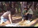 Bearwood Forest Outtakes