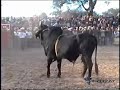 JARIPEO DE DICIEMBRE EN CUTO DE LA ESPERANZA MICHOACAN JARIPEO DE DICIEMBRE EN CUTO DE LA ESPERANZA MICHOACAN