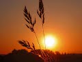 Poesia scritta e recitata da Giusy Staropoli dedicata a Natuzza Evolo, mistica di Paravti. Calabria- ... mamma natuzza 