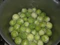 Brussels sprouts   D&B in the Morn by Aatos Beck © 8 11 2009