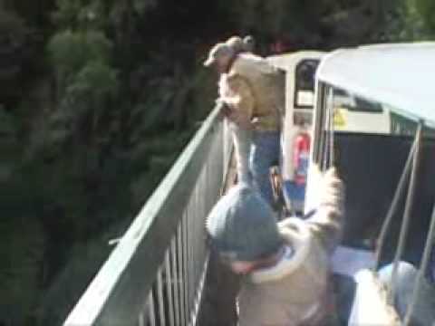 auckland sightseing tours 0 RAIN FOREST EXPRESS