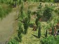 0 A.D. Gameply