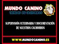 TeleMadrid entrevista a MundoCanino.es Venta de Cachorros Perros