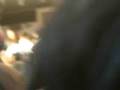 videos de Conociendo a los Jonas Brothers en Madrid (6-Oct-2008) Parte 15