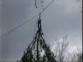 Speedline Pine Removal