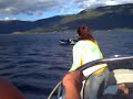 the-flying-car.html