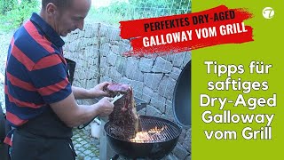 Perfektes Galloway-Fleisch: Artgerechte Haltung & Smoker-Genuss Perfektes Galloway-Fleisch: Artgerechte Haltung & Smoker-Genuss