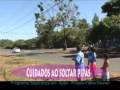Dica Segurança – Soltar Pipa